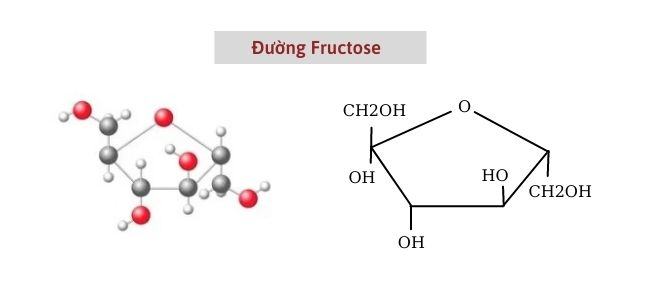 đường fructose